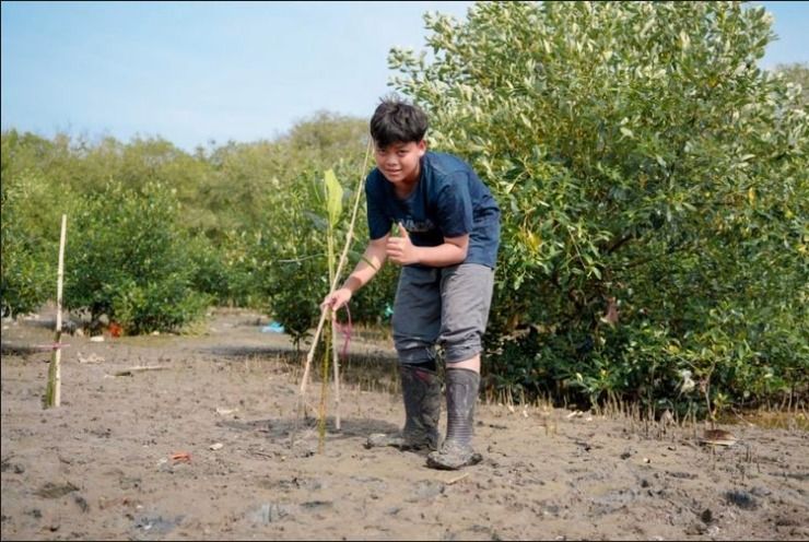 Gerakan Mangrove Warrior: Siswa SMP Surabaya Peduli Banjir dan Abrasi