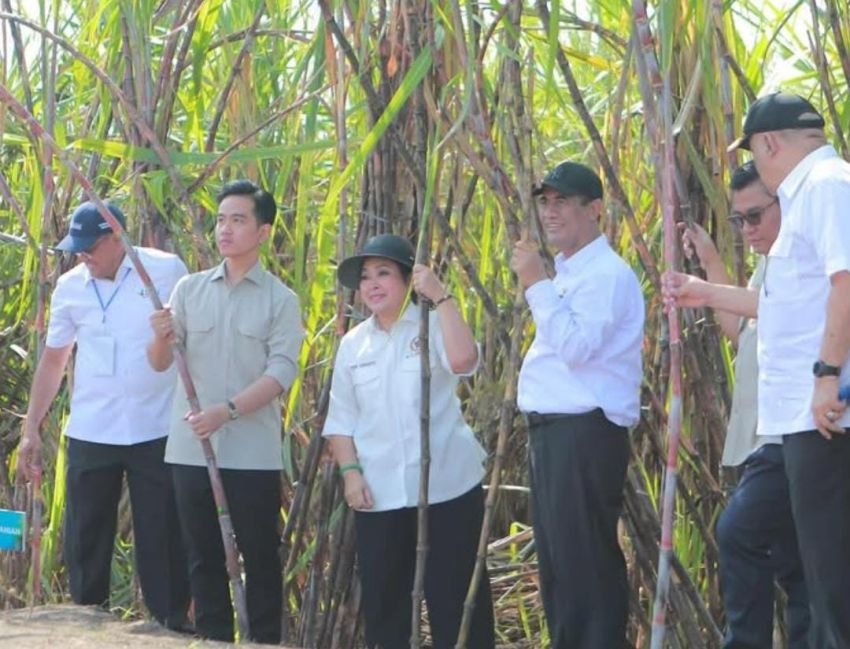 Mentan Andi Amran Targetkan Produksi Gula Nasional Capai 3 Juta Ton Tahun 2026