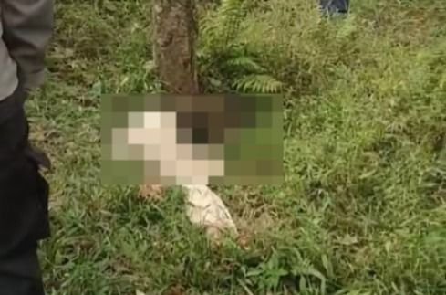 Simalungun Geger! Remaja 15 Tahun Ditemukan Tewas di Perkebunan Karet, Polisi Selidiki Dugaan Pembunuhan