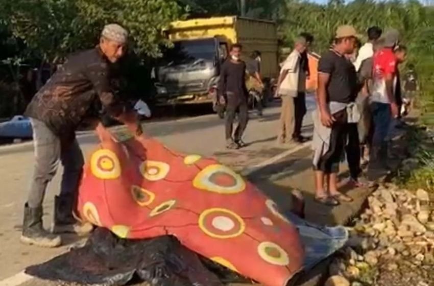 Rem Blong, Mobil Relawan Pembawa Bantuan Banjir di Aceh Timur Terperosok: Dua Tewas, Lima Luka Berat