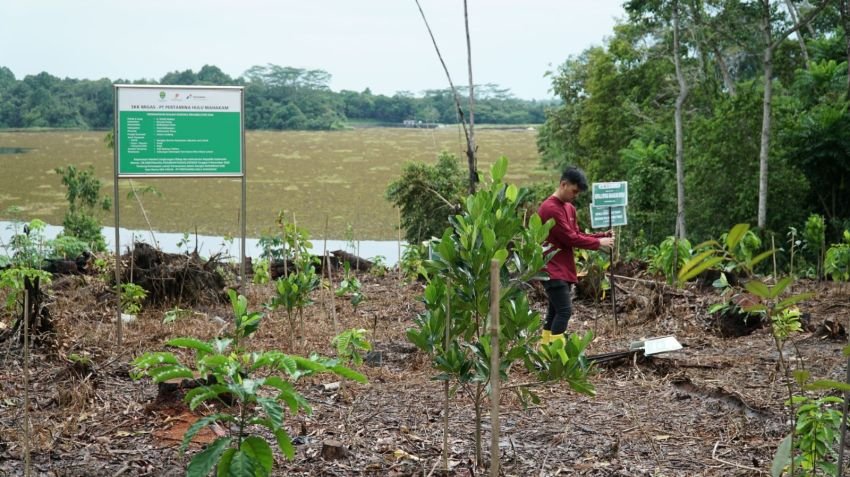 PHM Pulihkan DAS Kalimantan Timur Lewat Program Rehabilitasi Hutan
