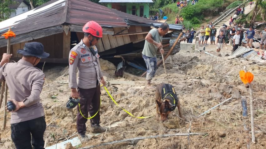 SAR Gabungan Dibantu K9, Upaya Evakuasi Korban Longsor Tapanuli Utara Makin Intens
