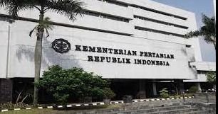 Pemerintah Tegaskan Impor Beras 2025 Bukan untuk Pasar Konsumsi, Hanya Beras Khusus dan Industri
