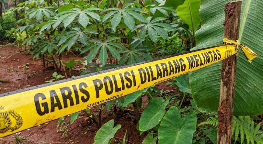 BPS: Kasus Pembunuhan di Sumut Tertinggi Kedua se-Indonesia