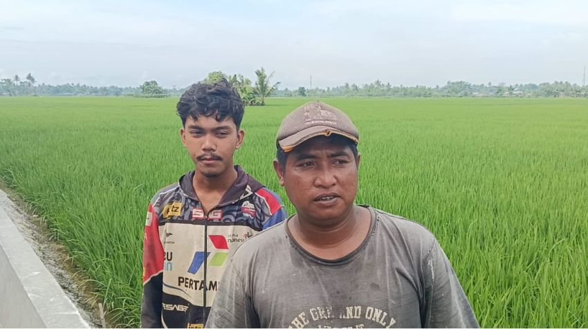 Sawah Sampai Ujung Terairi, Irigasi Baru Jadi Harapan Petani Serdang Bedagai
