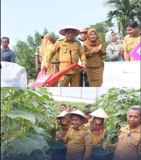 Wabup Deli Serdang Dorong Pertanian Modern dan Produktif untuk Kesejahteraan Petani