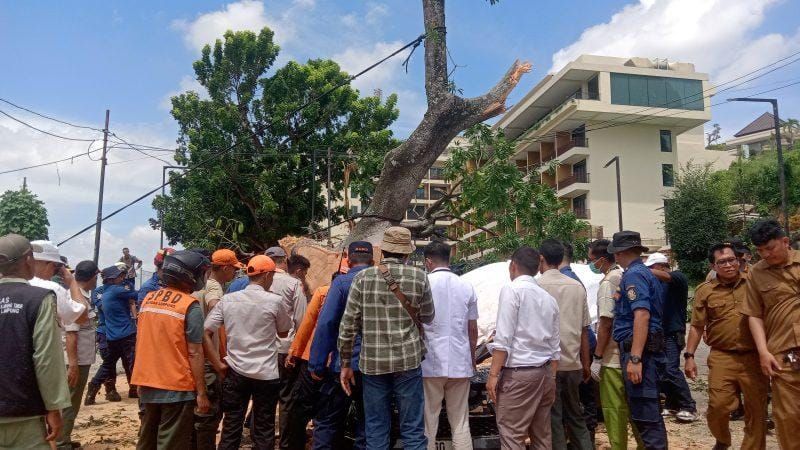 Satu Korban Luka Berat Akibat Pohon Tumbang di Kawasan Hotel Bukit Randu