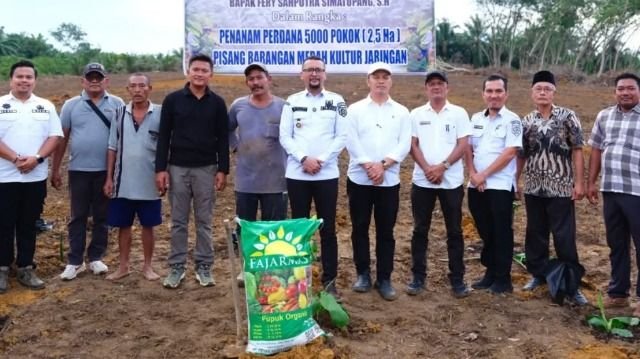 Dari Lahan Kosong Jadi Kebun Produktif, Bupati Labusel Dorong Anak Muda Bertani Pisang