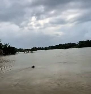 Luapan Kali Lamong Surut, Warga Balongpanggang Kembali Bisa Akses Jalan Poros Desa