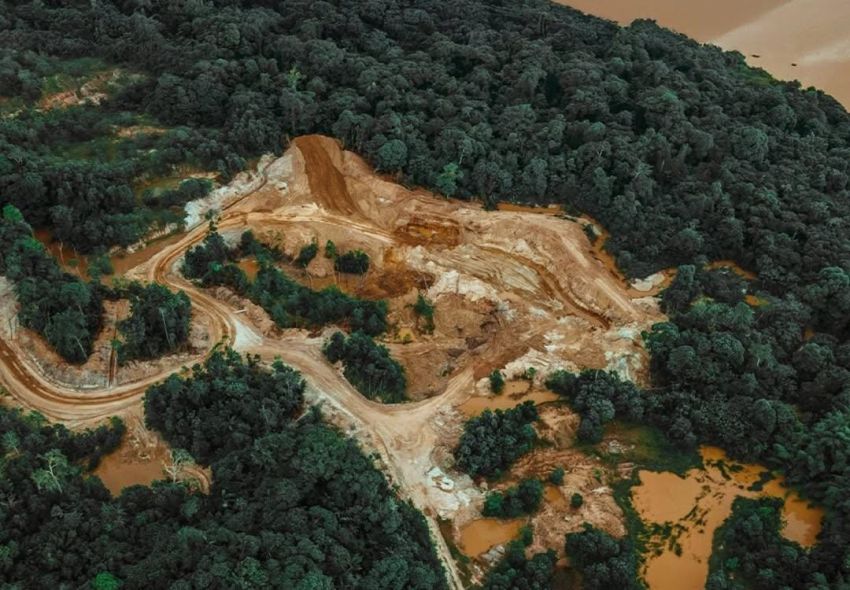 KPK Ungkap Potensi Kerugian Negara Akibat Kerusakan Hutan Capai Rp175 Triliun