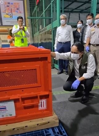 Empat Orangutan Korban Perdagangan Ilegal Kembali ke Indonesia dari Thailand