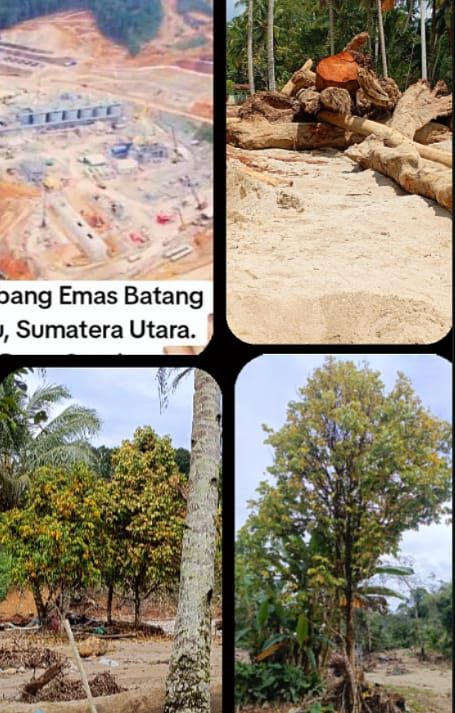 Air Sungai Tidak Lagi Layak Pakai dan Kerusakan Pohon, Warga Sosopan Tuntut Pemerintah Selidiki Dampak Tambang