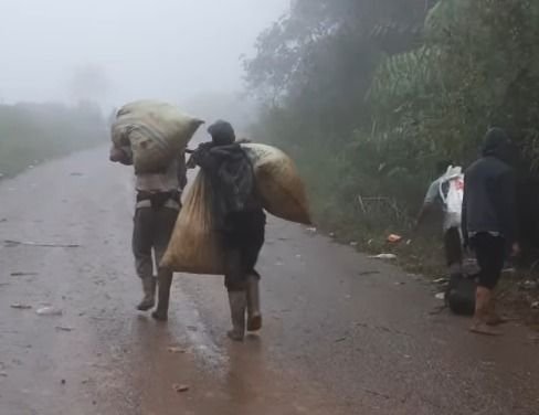 Banjir dan Longsor Putus Akses, Petani Cabai Aceh Tengah Jalan Kaki 4 Jam Lewati Lumpur Demi Jual Hasil Panen