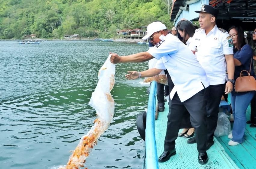 Pemkab Simalungun Gelar Restocking Ikan di Danau Toba untuk Bantu Nelayan Tradisional
