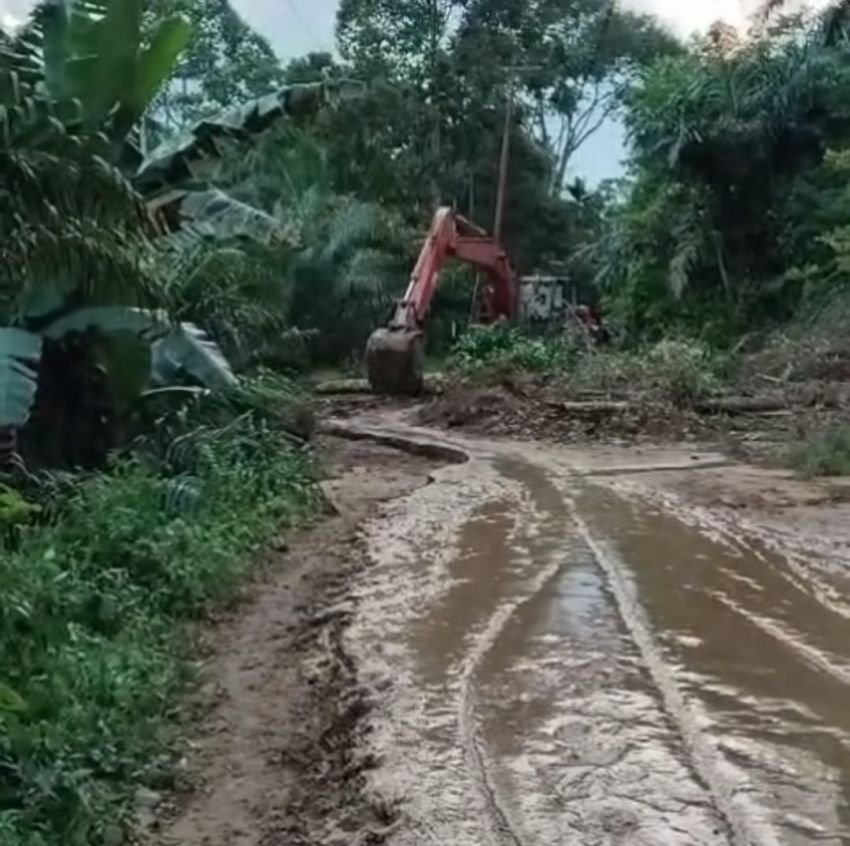 Longsor Setinggi 8 Meter Isolasi Kecamatan Peunaron, Ribuan Warga Terjebak