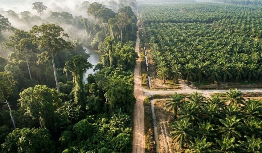 Melawan Korupsi Transisi Energi!