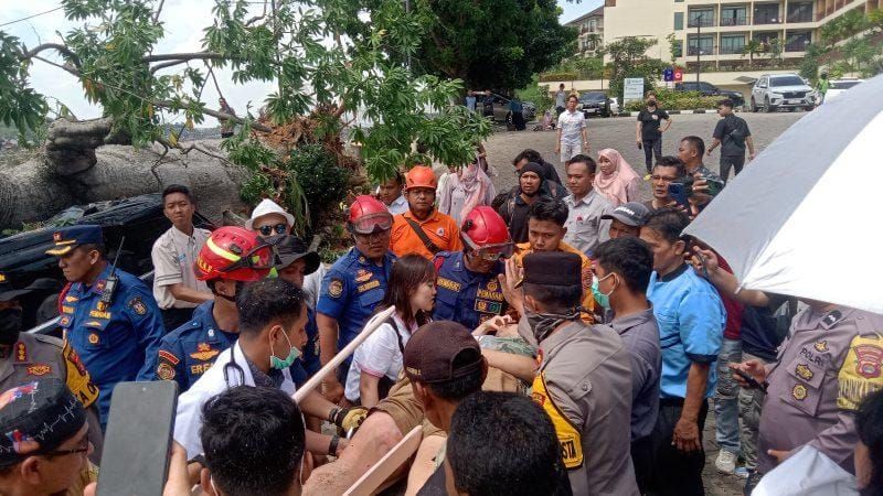 Pohon Tumbang di Hotel Bukit Randu Bandar Lampung, Korban Dilarikan ke RSUDAM