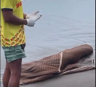 Wisatawan 13 Tahun Terseret Ombak di Pantai Pangandaran, Ditemukan Tewas