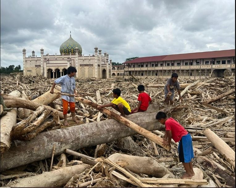 Bupati Aceh Tamiang Tunggu Keputusan Pusat soal Kayu Gelondongan Pascabanjir