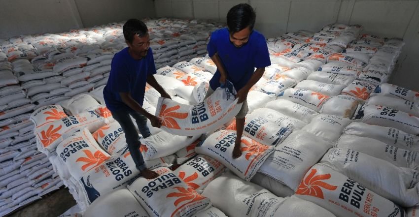 Stok Nasional Kuat, Indonesia Tak Perlu Impor Beras dan Jagung Pakan 2026