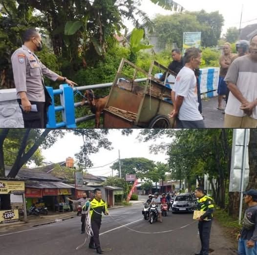 Tragis, Kakek 77 Tahun Tewas Ditabrak Truk Box Saat Hendak Jual Kambing di Ponorogo