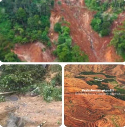 Banjir Bandang Batang Toru: Negara Diminta Segera Tetapkan Tersangka, Pencabutan Izin Dinilai Belum Cukup