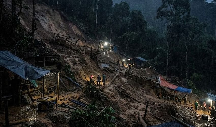 Longsor Tambang Emas Ilegal di Jambi: 8 Tewas Tertimbun, 4 Luka-luka