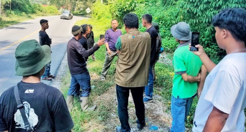 Bangkai Satwa di Simalungun Ternyata Bukan Harimau Sumatra, Melainkan Macan Akar
