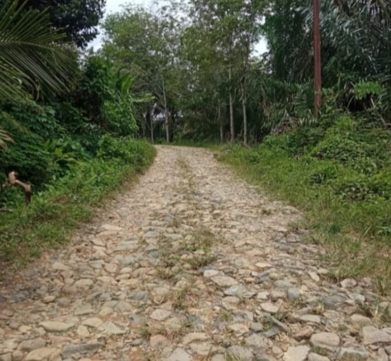 Kepala Desa Dolok Godang Diduga Fasilitasi Tambang PT AR, Warga Khawatir Risiko Lingkungan dan Bencana