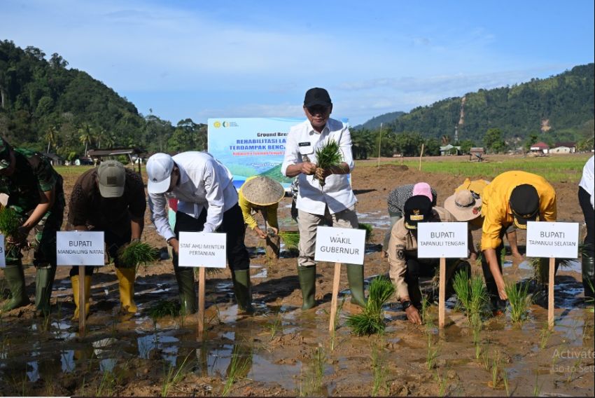 Rp78,5 Miliar Digelontorkan untuk Pulihkan Sawah Terdampak Bencana di Sumatera