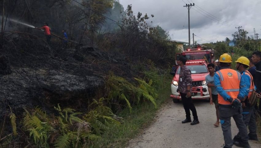 Damkar Bergerak Cepat, Kebakaran Lahan di Pollung Berhasil Dipadamkan