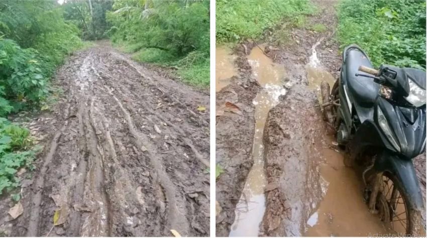 Jalan Rusak Puluhan Tahun, Warga Pantar Geram Gubernur NTT Abaikan Mereka
