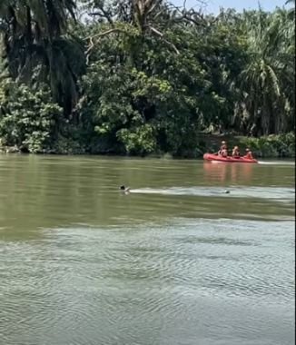 Pria 40 Tahun Hanyut di Sungai Asahan, Tim SAR Terus Lakukan Penelusuran