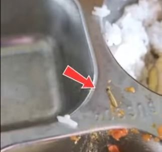 Viral di Medsos, Menu MBG SMKN 1 Sei Rampah Tercemar Cacing dan Ulat
