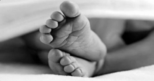 Penemuan Bayi Dibungkus Kardus di Medan Timur, ART Diduga Ibu Kandung yang Tinggalkan Anak di Rumah Majikan