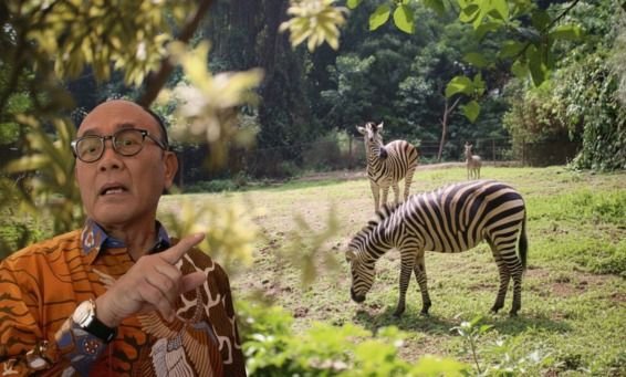 Kritik Keras Penutupan Kebun Binatang Bandung, Saurip Kadi: Pembangkangan atau Penghinaan Sejarah?