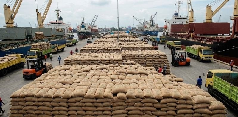 RI Sepakati Impor 1.000 Ton Beras dan 580 Ribu Ayam dari AS, Pemerintah Pastikan Tak Ganggu Peternak