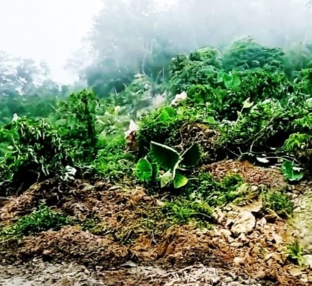 Tebing di Sekitar TPA Batu Bola Padangsidimpuan Longsor, BPBD Imbau Warga Waspada