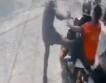 11 Pegawai Diperiksa Kejati Sumut Terkait Kaburnya Tahanan Kasus Ganja 214 Kg dari Pengadilan Lubuk Pakam