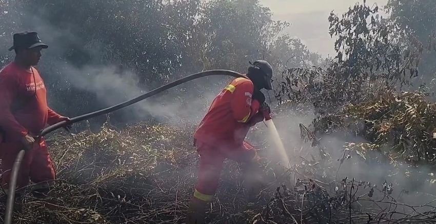 Karhutla Pulau Mendol Riau Meluas hingga 500 Hektare Lahan, 100 Personel Turun Tangan