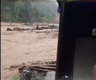Banjir Bandang Kembali Terjang Tapteng Usai Hujan Deras, Sungai Meluap dan Kayu Terbawa Arus