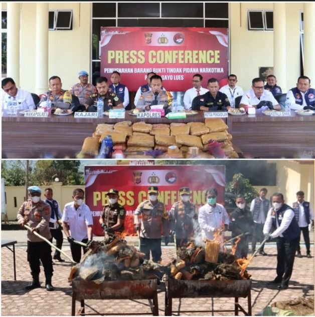 Sinergi Aparat di Gayo Lues Musnahkan 186 Kg Ganja, Bukti Komitmen Lawan Narkotika di Kabupaten