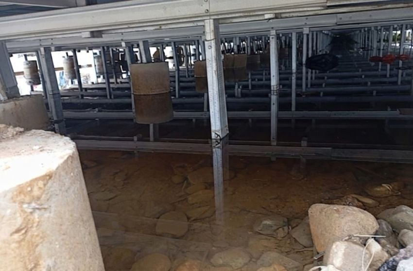 Belum Genap Seminggu Huntara Simarpinggan Diresmikan, Warga Keluhkan Genangan Air di Kolong Rumah dan Ancaman Kesehatan