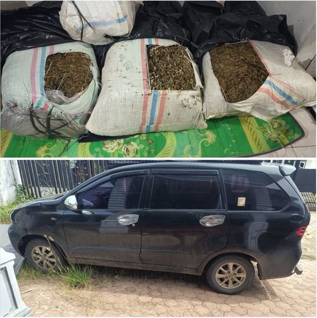 Pengungkapan Narkoba di Bireuen: 50 Kg Ganja dan Satu Pelaku Diamankan