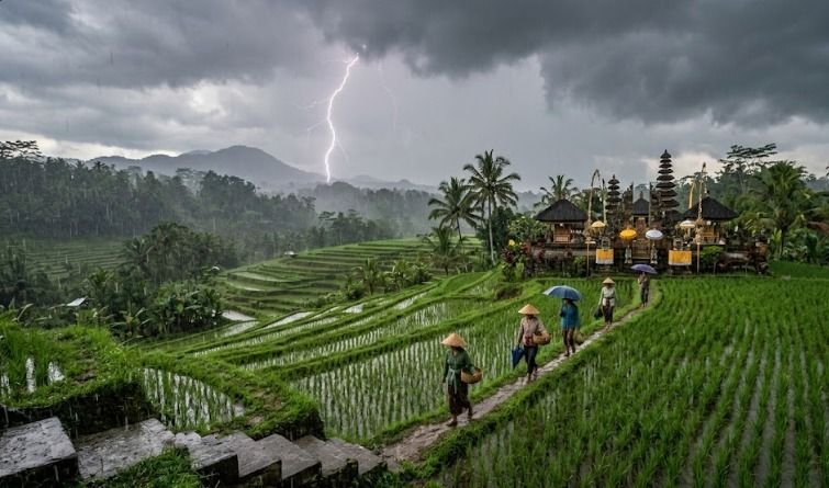 Bali Didominasi Hujan Ringan hingga Petir, Suhu Capai 31 Derajat Celsius