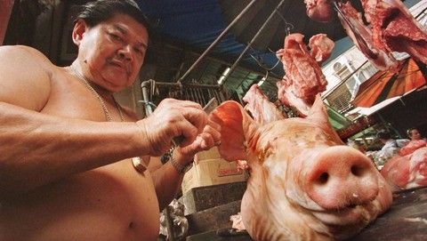 Transformasi Paradigma Organisasi Industri Peternakan Babi: Analisis Integratif Sosiopolitik, Keamanan Lingkungan, dan Sains Autentikasi Halal Global