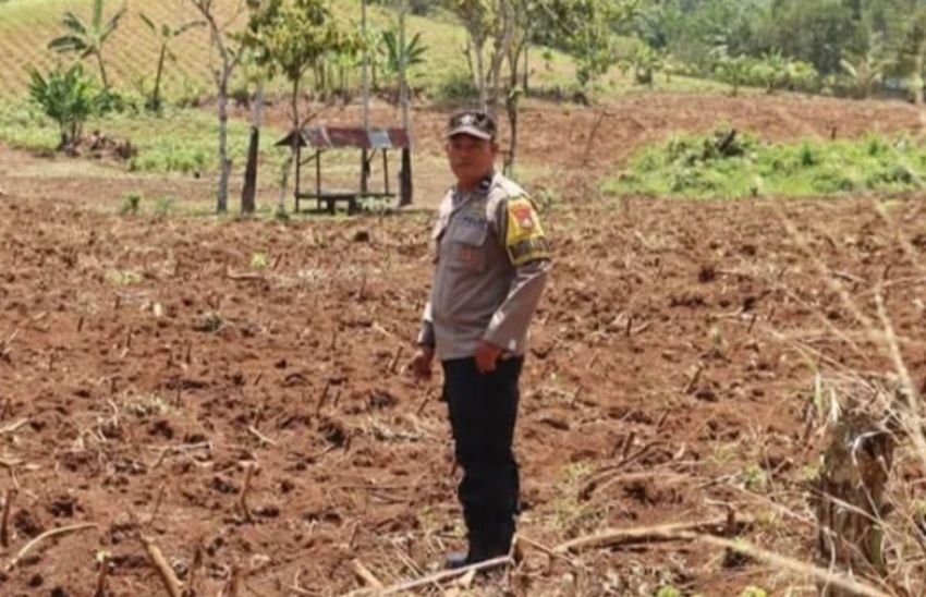 Pastikan Stok Pupuk dan Alat Pertanian Siap Pakai, Polres Padangsidimpuan Kawal Ketahanan Pangan