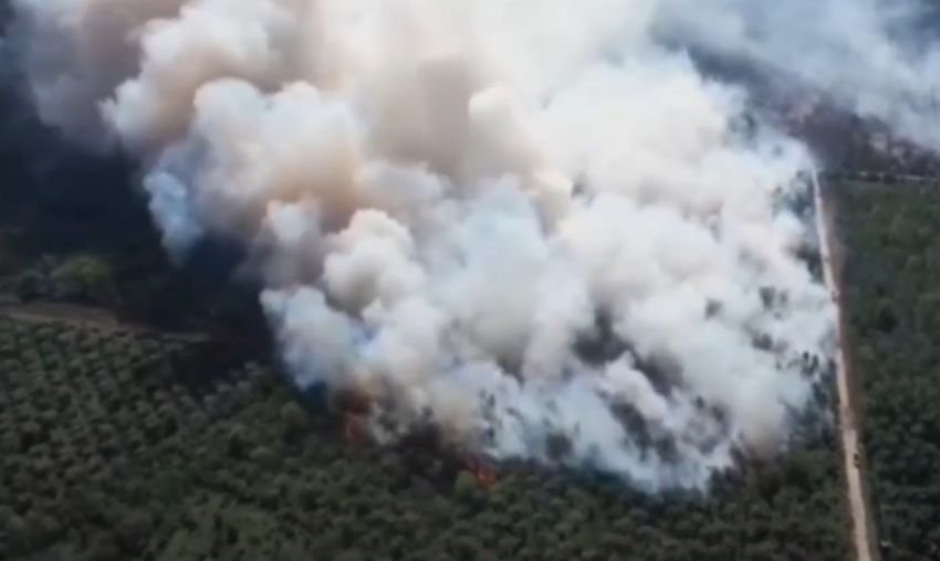 Kebakaran Lahan di Medang Kampai Dumai Meluas, Api Telan 40 Hektar