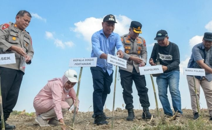 Dukung Ketahanan Pangan, Wabup Deli Serdang dan Polres Pelabuhan Belawan Gelar Tanam Raya Jagung Serentak Kuartal I 2026