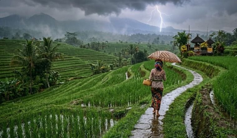 Hujan Guyur Hampir Seluruh Bali, Bangli Berpotensi Disertai Petir
